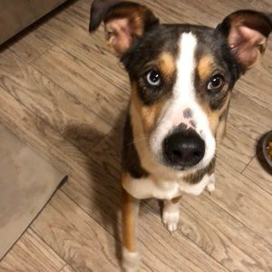 Meet your Posher, Chealyn